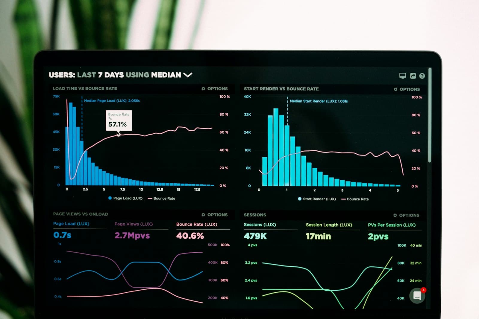 Client portals & dashboards